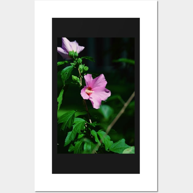 Hawaiian Hibiscus Wall Art by tessiaphoto